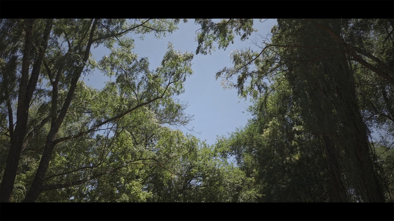 La Florita - Barrio de naturaleza - VGB