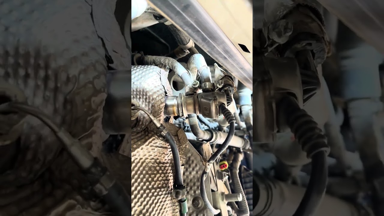bolero dpf