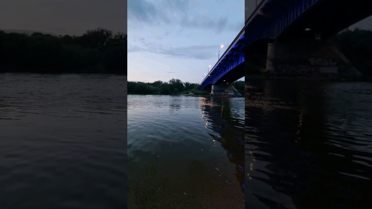 Grubasy żerowały dosłownie 5 minut 