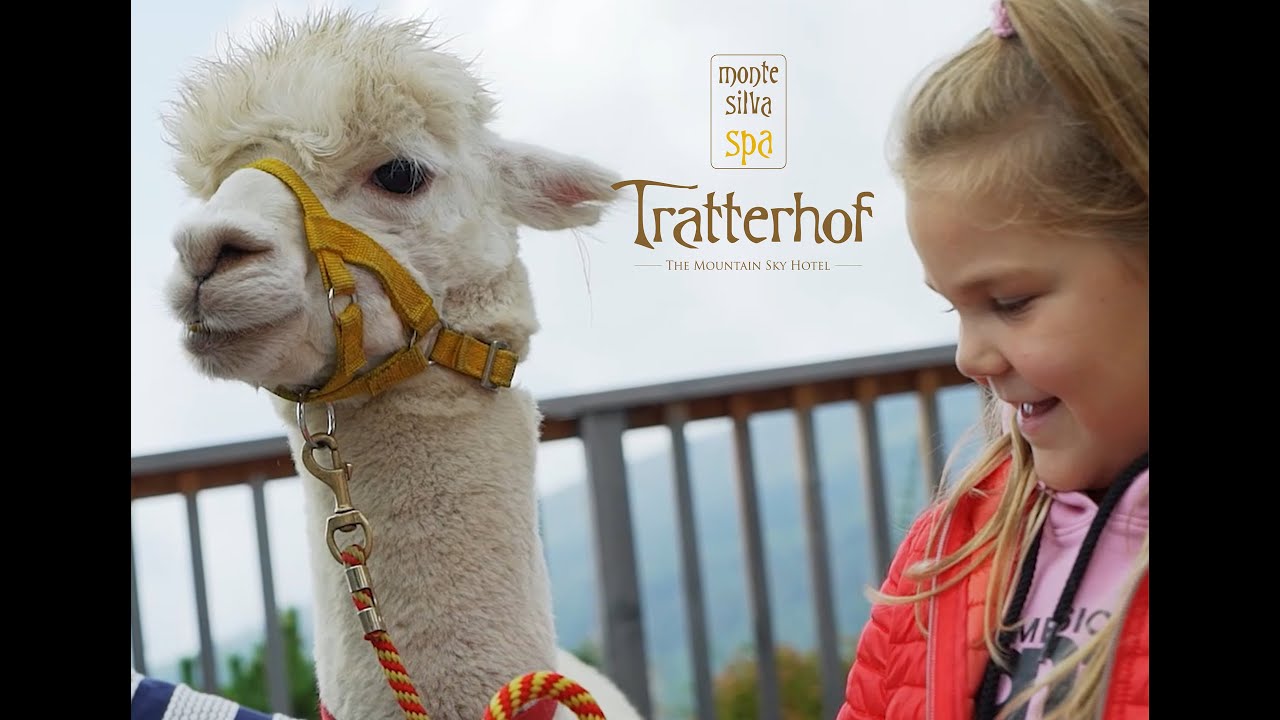 Lama & Alpakatrekking - Lama2go (Hotel Tratterhof)