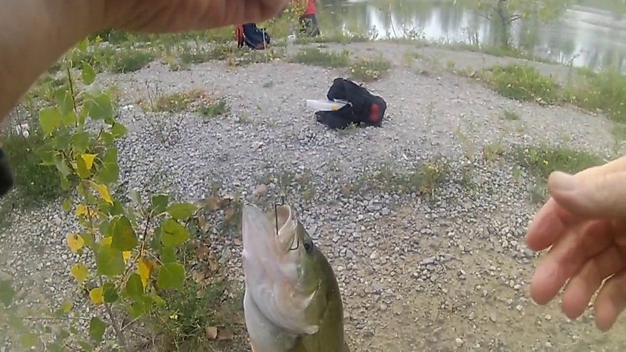 MILTON ONTARIO BASS FISHING : Axe Man and Old Guy Fishin