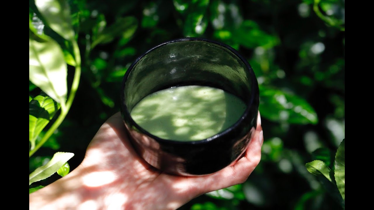 Sourcing Matcha With Rishi Tea & Botanicals