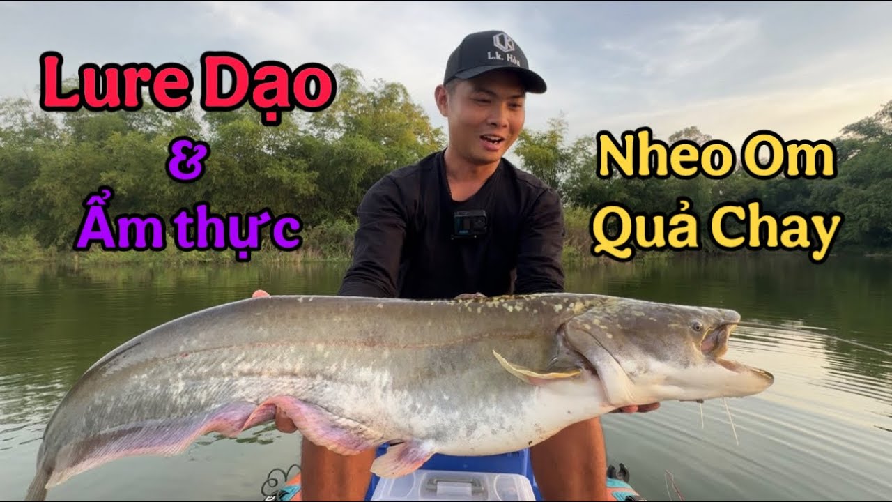 Lure Dạo & Ẩm Thực - Nheo Om Quả Chay
