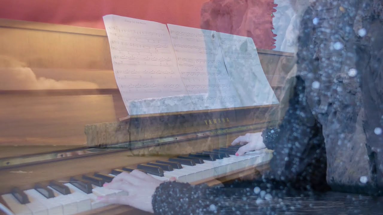 Elegy for the Arctic