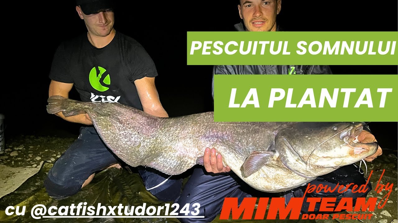 Pescuit Plantat cu Tudor Nicoara | @catfishxtudor1243