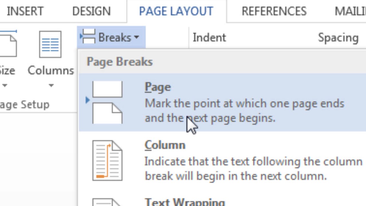 How to Insert a Page Break in Word; Page Break; Start on New Page