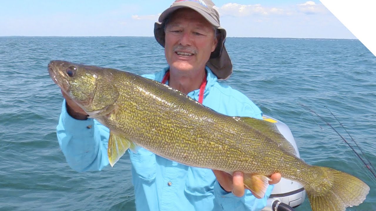 Jigging for walleye with the peanut bunker - 