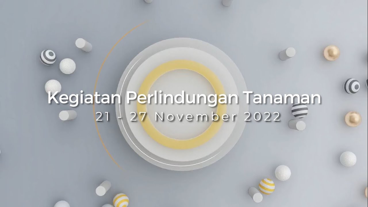 Kilas Sepekan Kegiatan Perlindungan Tanaman