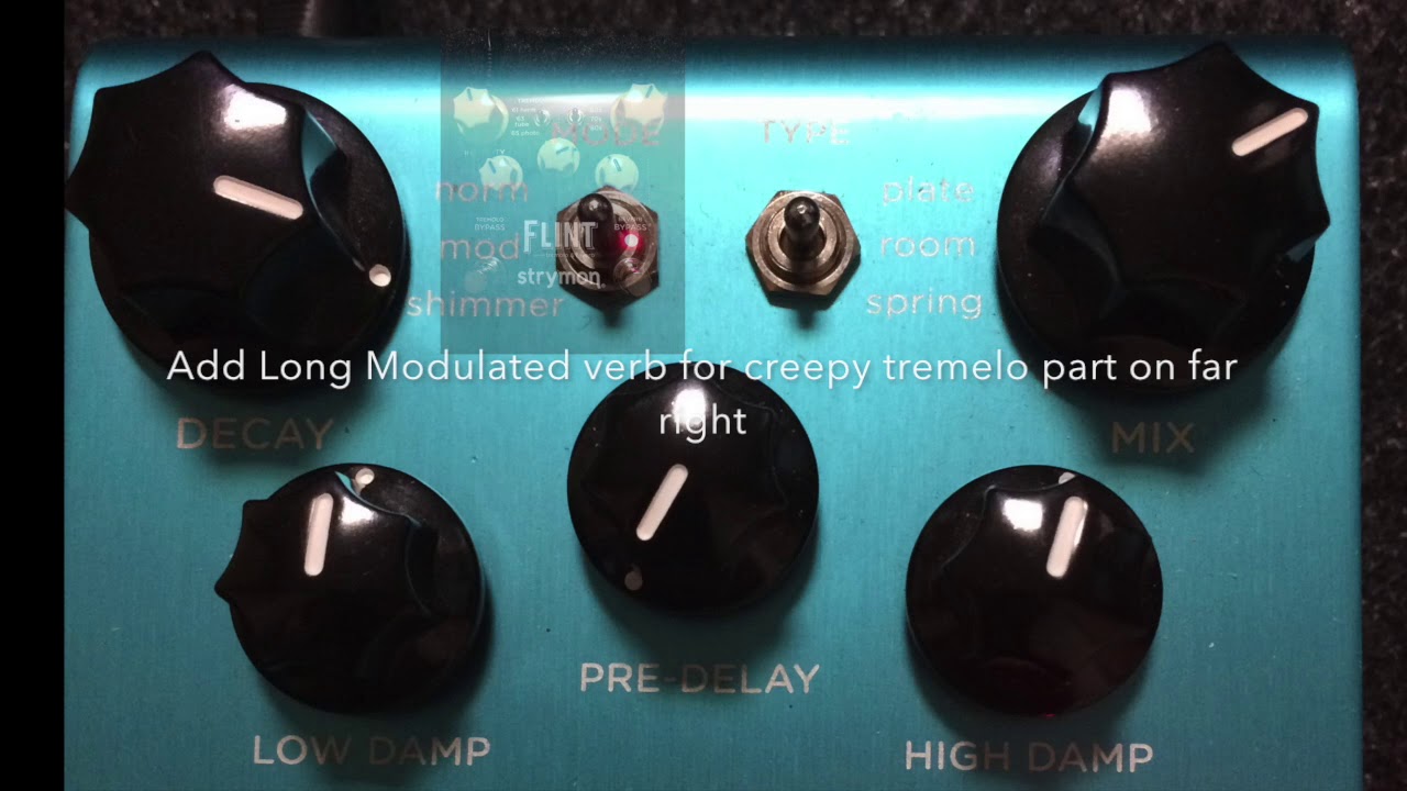 Strymon Flint and Blue Sky Reverbs