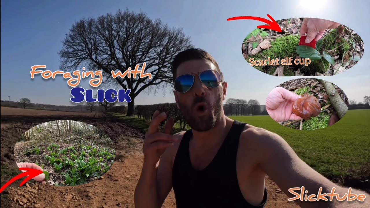The Ultimate Guide to Spring Mushroom Hunting (foraging with SLICK) 🍄