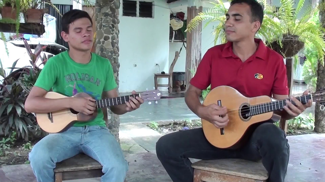 Tardes Grises de Junio - Bandola Llanera