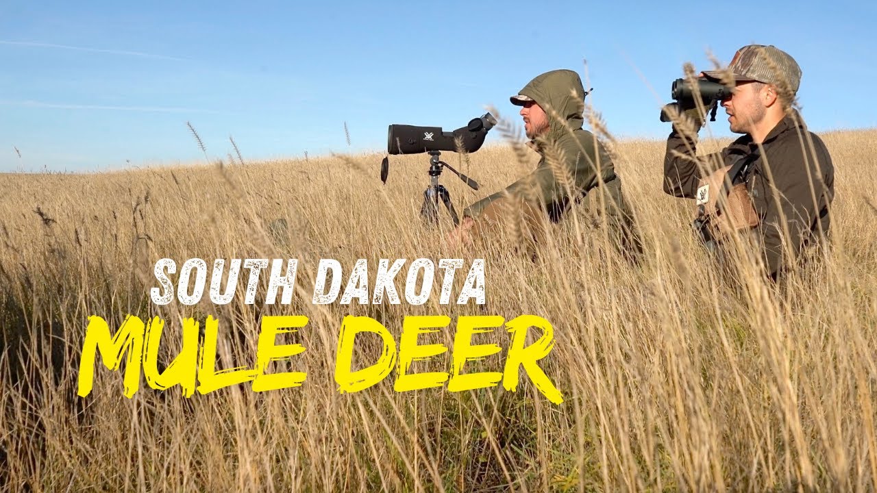 Mule Deer Archery Hunting Trip | Our 4 Best Stalks | Public Land