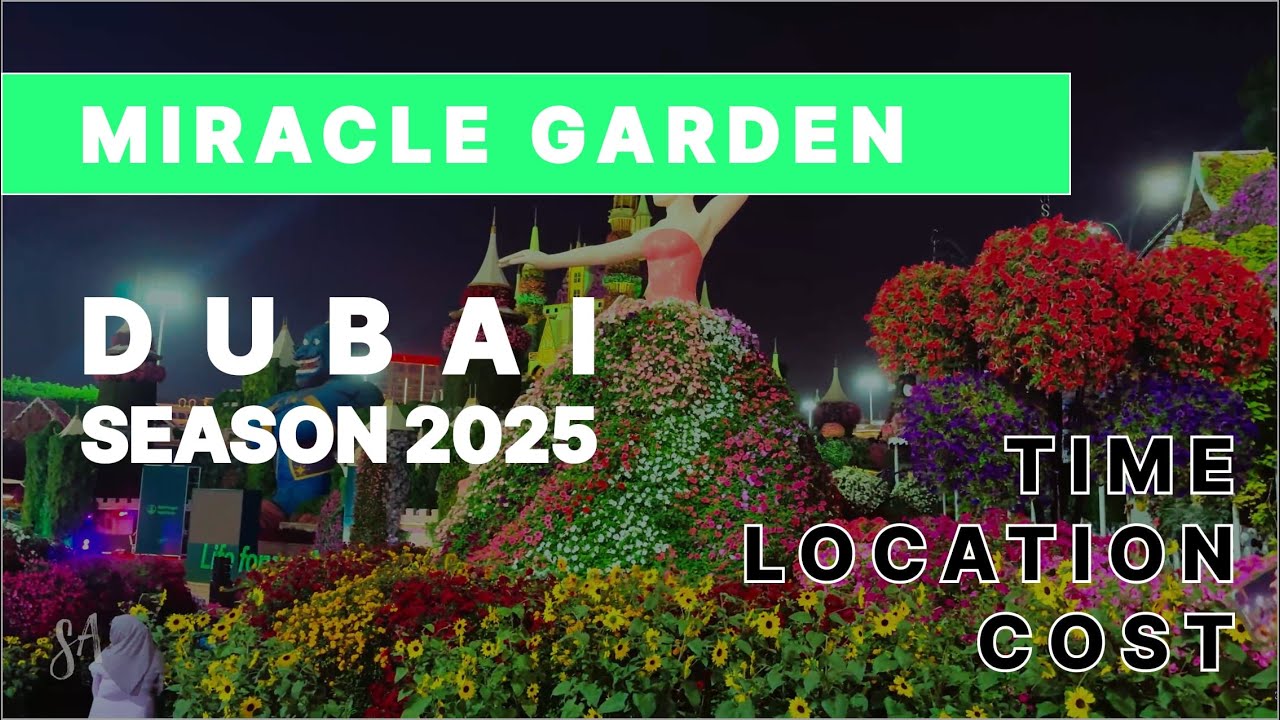 Miracle Garden Dubai 2025 | world’s largest natural flower garden