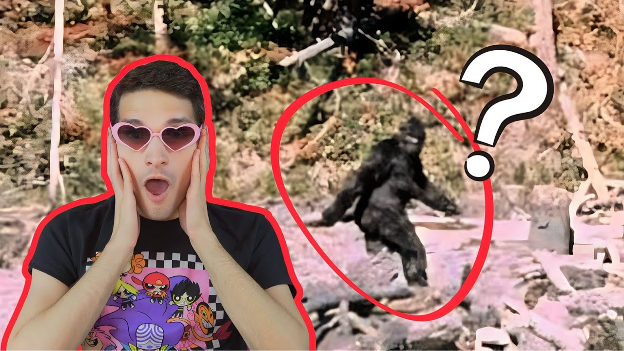 Is BIGFOOT REAL or a HOAX?! PSYCHIC READING