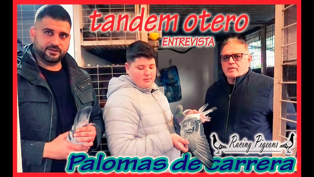 PALOMAS MENSAJERAS.- Tandem OTERO