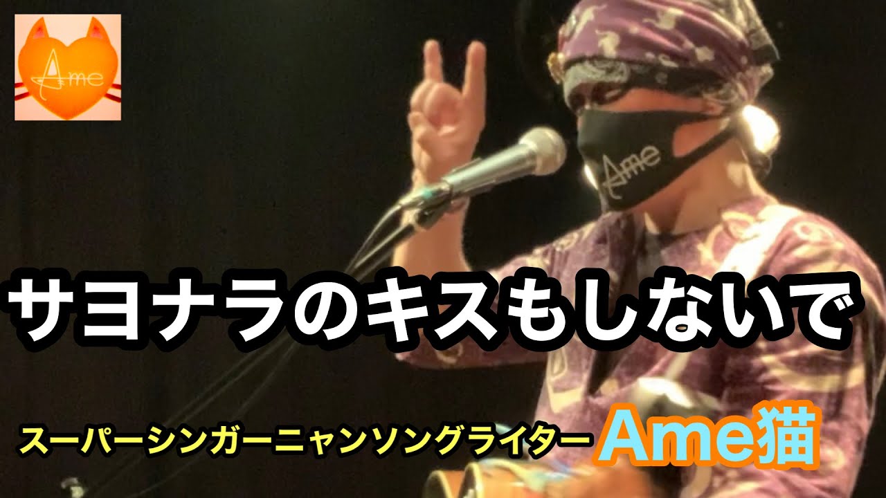 🐈&zwj;⬛ アメニャンコーラスコレクション