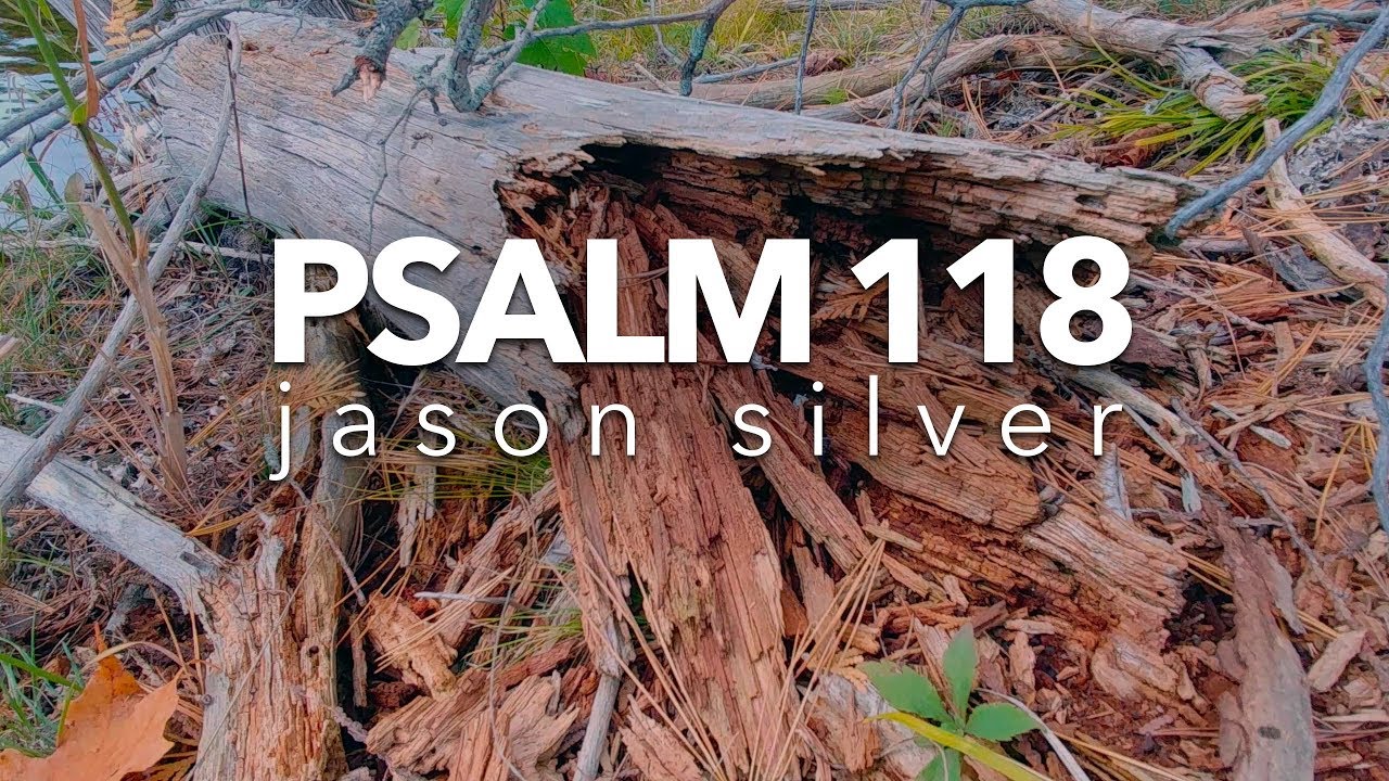 🎤Псалом 118:1-2, 19-29 Песня
