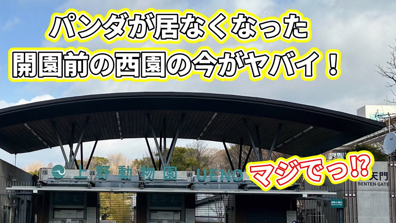 まさか、こんな事になっているとは‼️ 2月23日 上野動物園