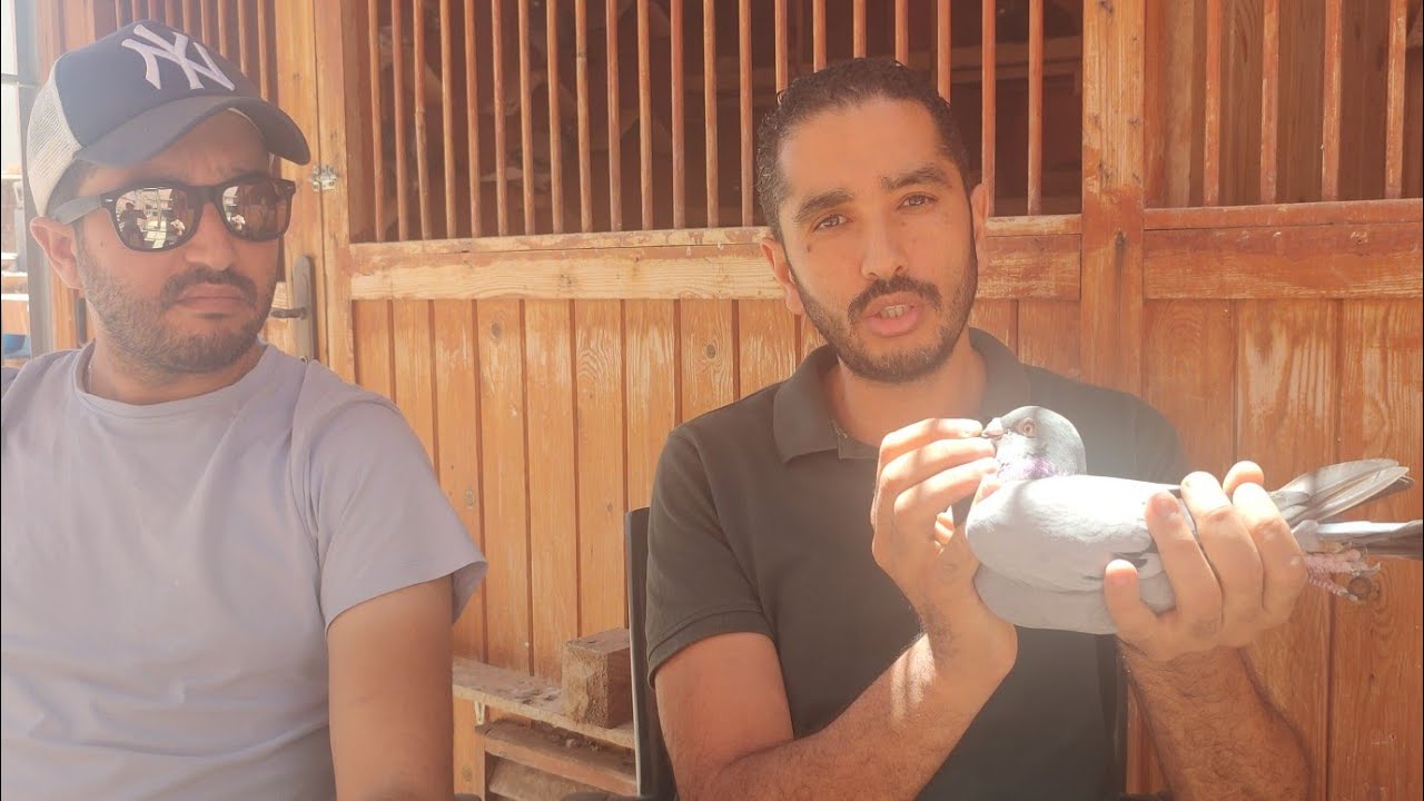 فديو رائع الجزء الثاني عند البطل الكبير إخوان الزين باكادير 05/09/2022 فرجة ممتعة