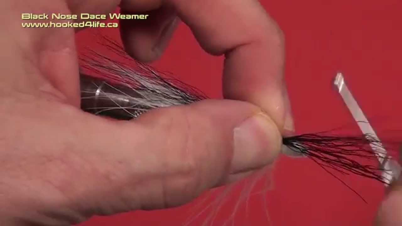 Streamer Tube Fly - the Black Nose Dace Weamer