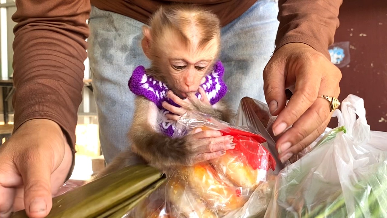 Wow!!Little girl LIORA felt happy when she got a lot of food after her Mom returned from the market