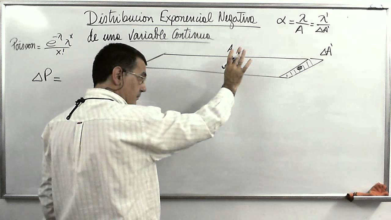Análisis de la Distribución Exponencial Negativa