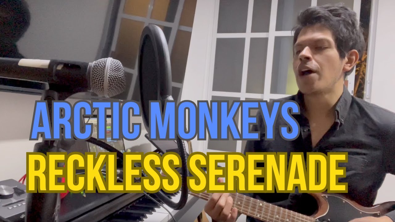 Reckless Serenade - Arctic Monkeys (Albert Didier's cover)