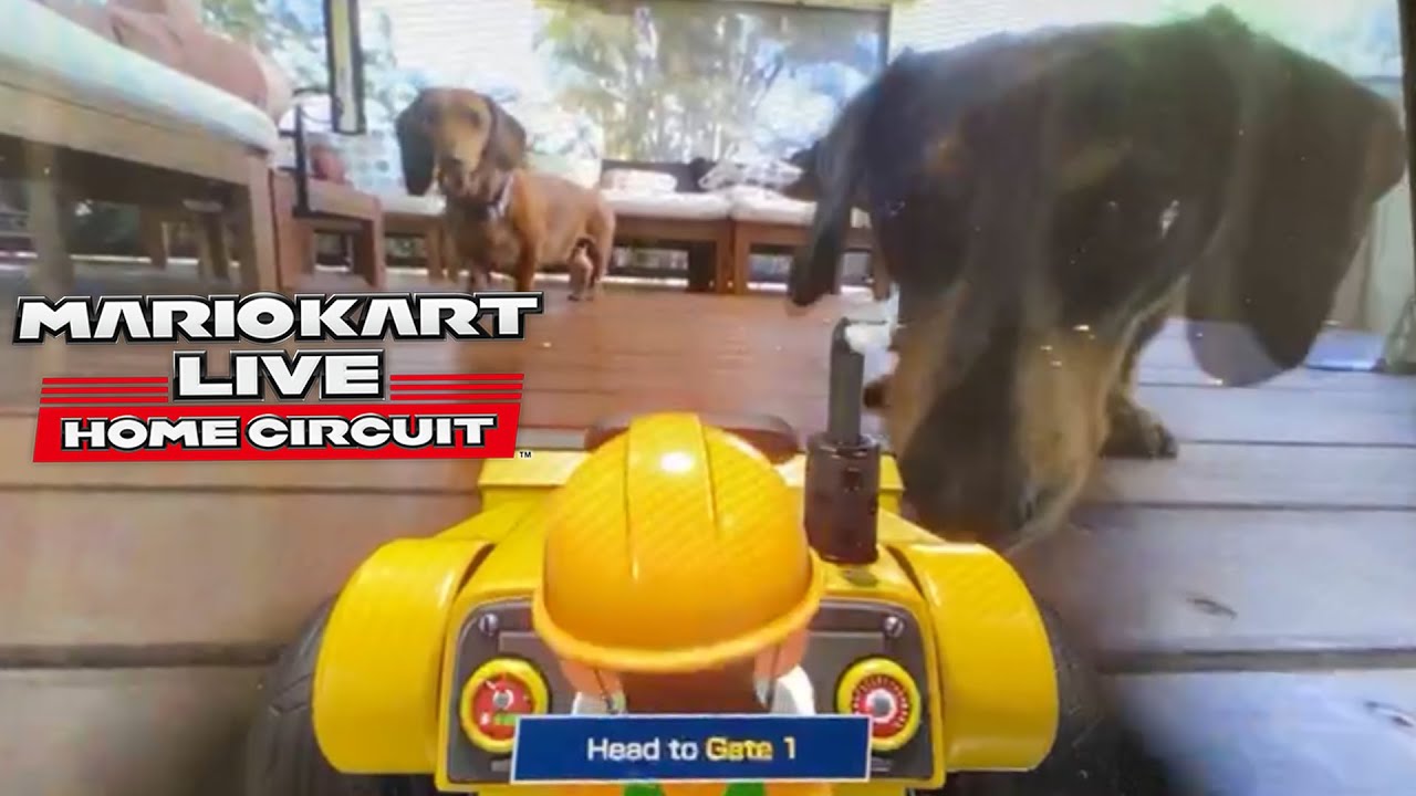 Mario Kart Live: Home Circuit - DECK, RAMPS and DOGS!