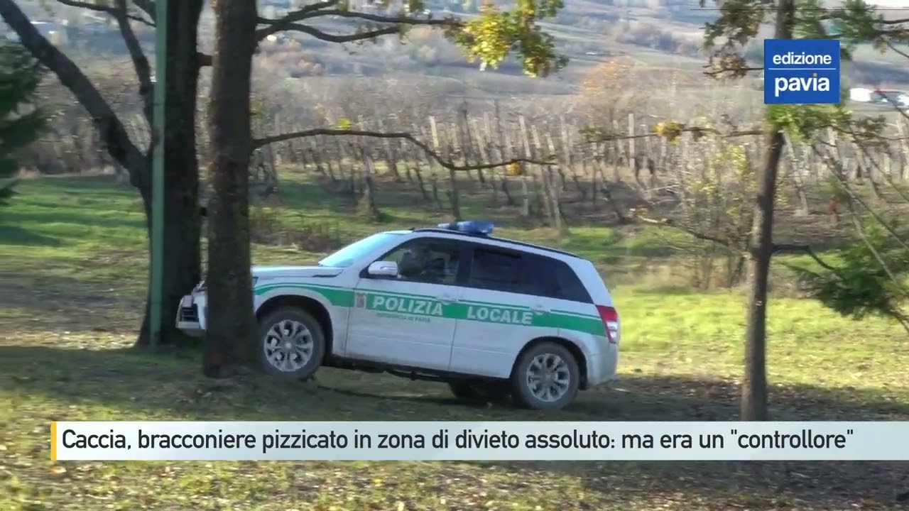 Caccia, bracconiere pizzicato in zona di divieto assoluto: ma era un 'controllore'