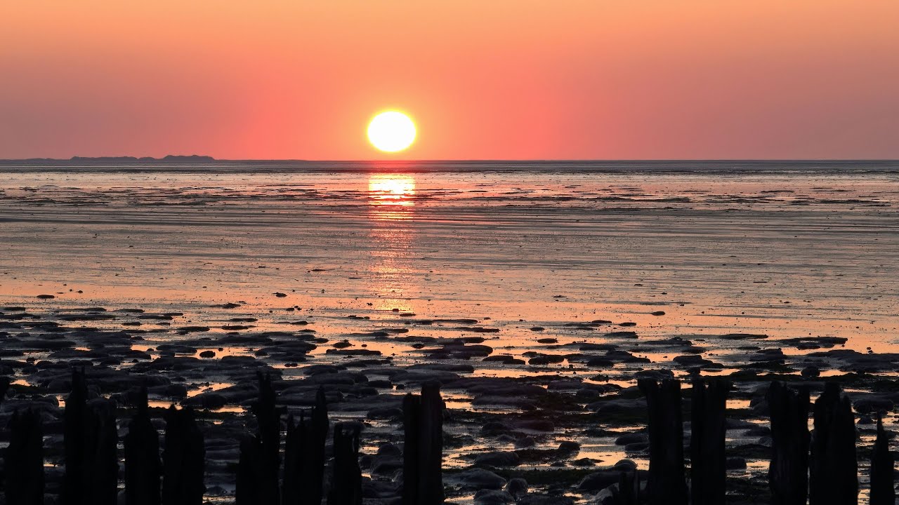 Rondreis Nederland deel 12, Noord Friesland, Alde Faenen, Dokkum, Wierum, Moddergat