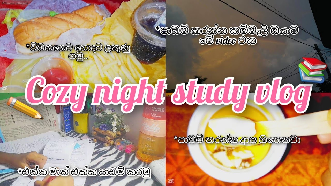Cozy night study vlog💗🌷 | එන්න මාත් එක්ක පාඩම් කරන්න☺️ | A day in my life🍀✨️ | Sri lankan vlog🇱🇰