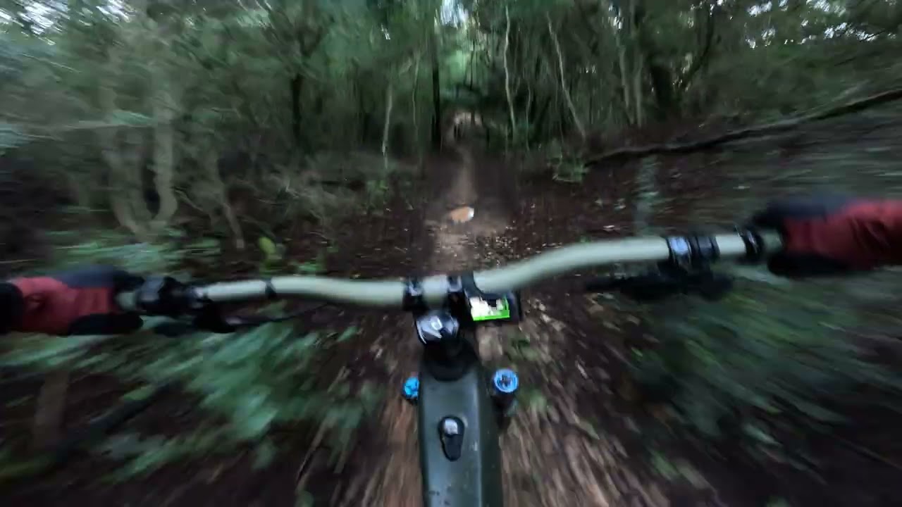 Abelhas 🐝 🐝 e 🦙- Monsanto MTB (Lama)