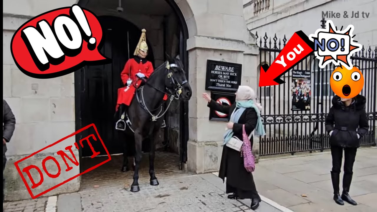 FINALLY GUARD TOOK FIRM ACTIONS! DON’T TOUCH THE HORSE! READ THE SIGNS! ROYAL GUARD, HORSE GUARD🇬🇧