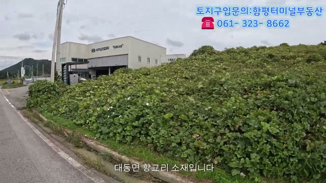 대동면향교리토지매매(매물번호1006),함평현대차서비스센터옆토지,함평소방서옆토지, 함평물류창고적합부지,함평공설운동장인근