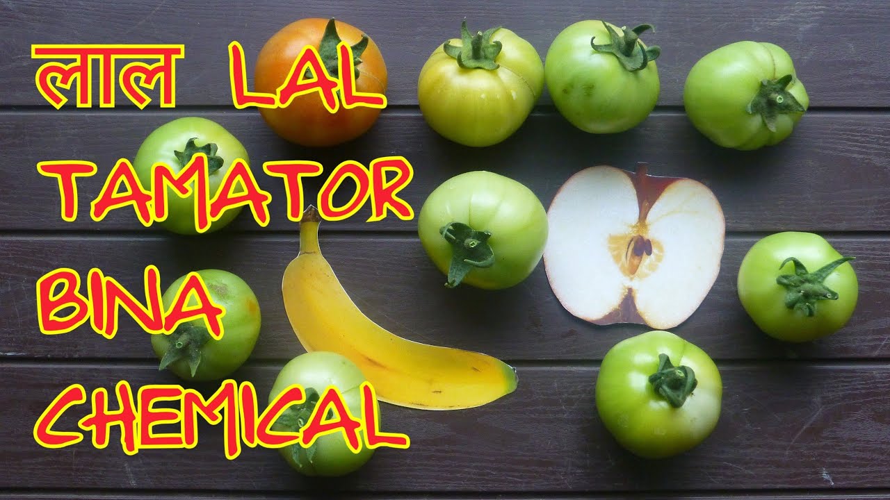 Kare Tamator Lal Bina Chemical Ke  - 3 Tricks