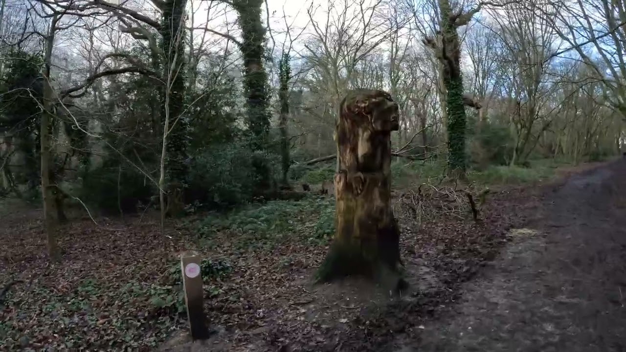 Hainault Forest Country Park