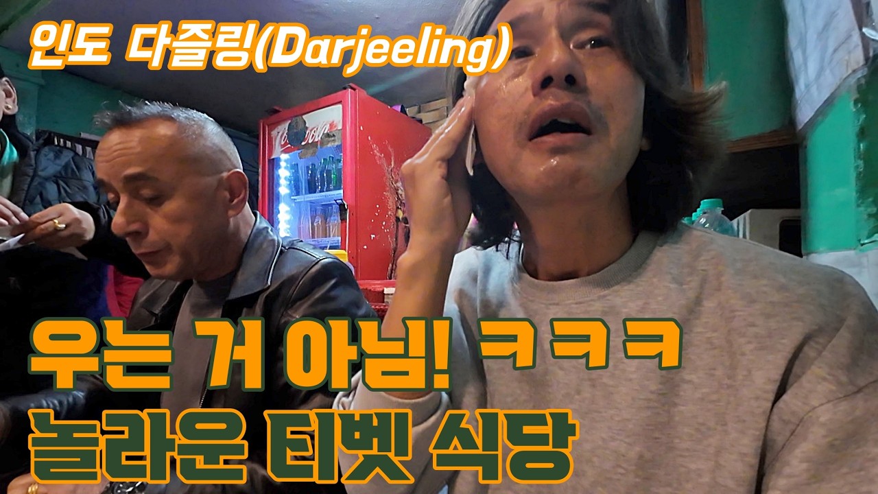 '시킴'과 '웨스트 뱅골' 그 사이! '다즐링'. 다즐링 홍차 맛보기, 티벳 음식먹기, 카첸중가 보기, 화려한 밤거리 걷기. 매력가득 다즐링!(인도 배낭여행 태국은 덤28)