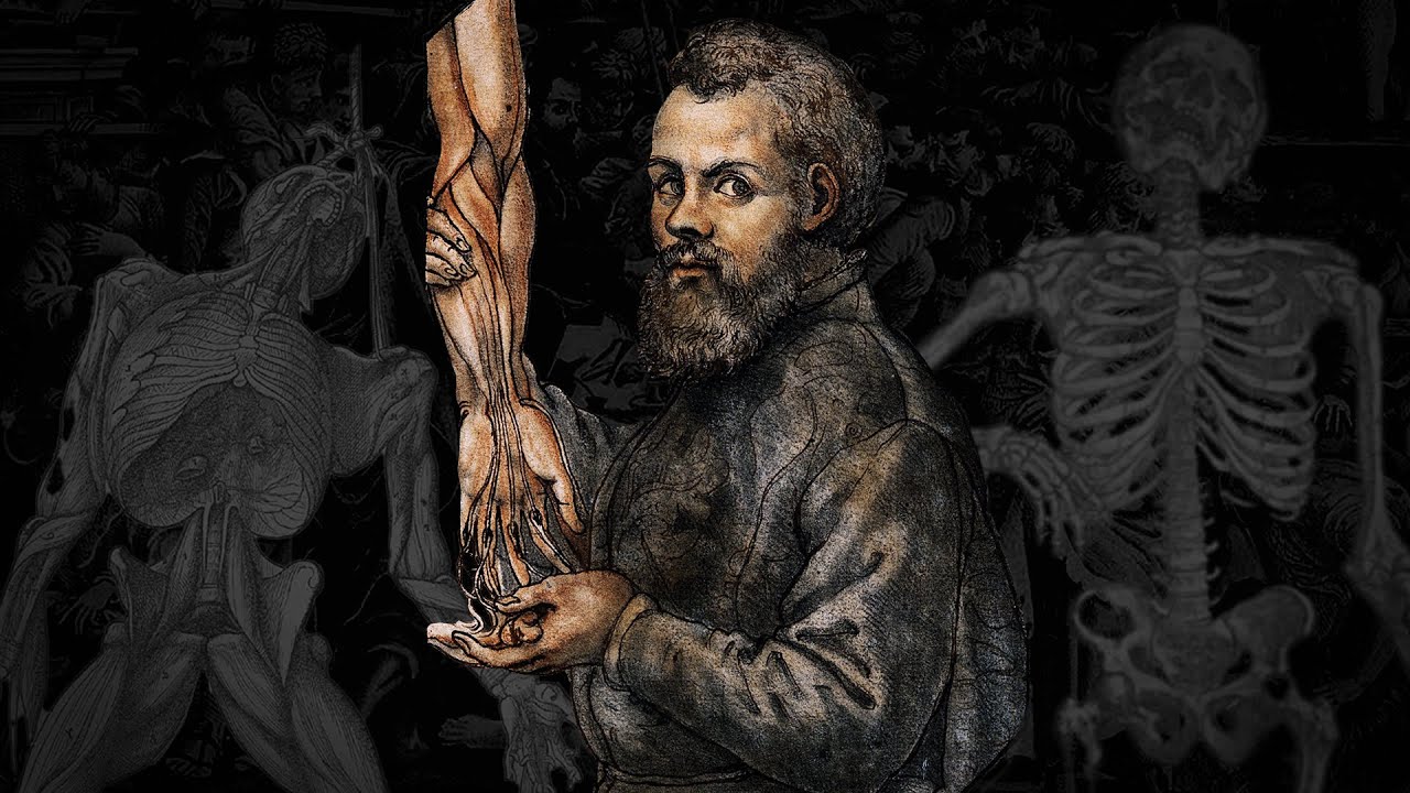 The Book That Fixed Anatomy: De Humani Corporis Fabrica by Andreas Vesalius | Patrick Kelly
