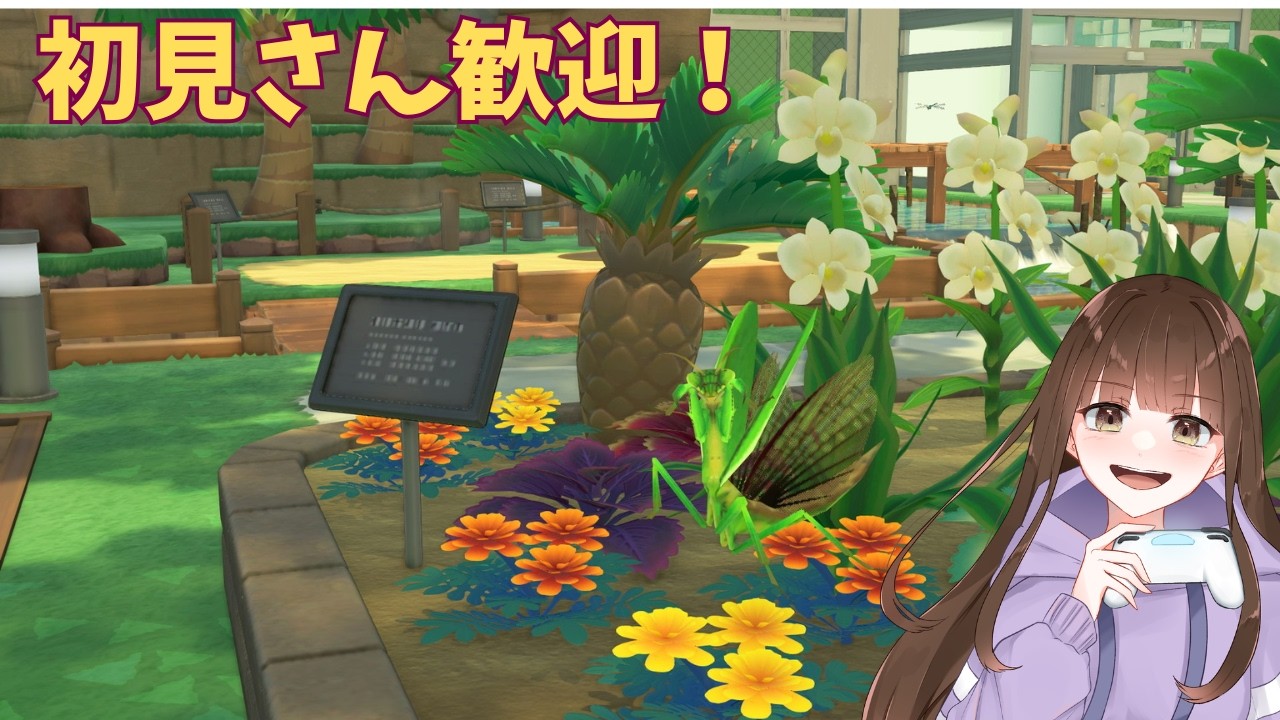 【あつ森】Night Chill Island 🌙｜まったり島生活・初見さん歓迎 #13 ＃女性実況