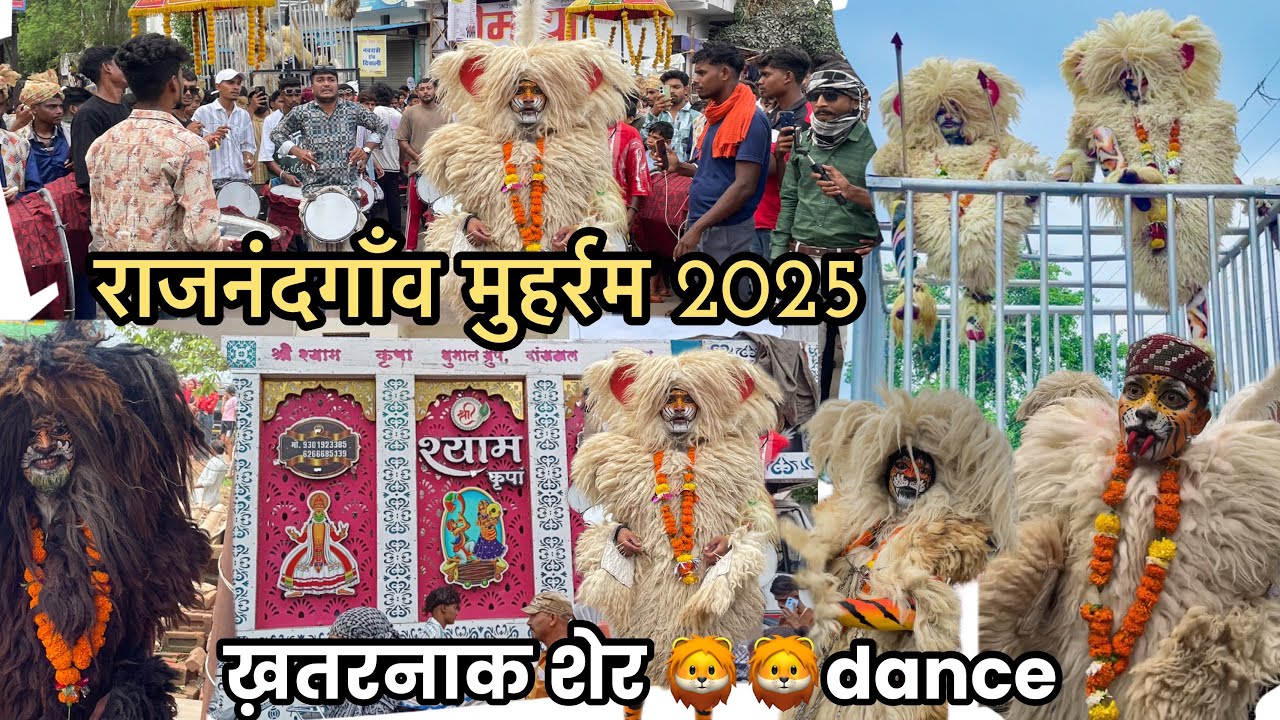 Kgn dhumal rajnandgaon muharram 2025 |ख़तरनाक शेर 🦁😱#trending #video @manishsonkarvlogs93