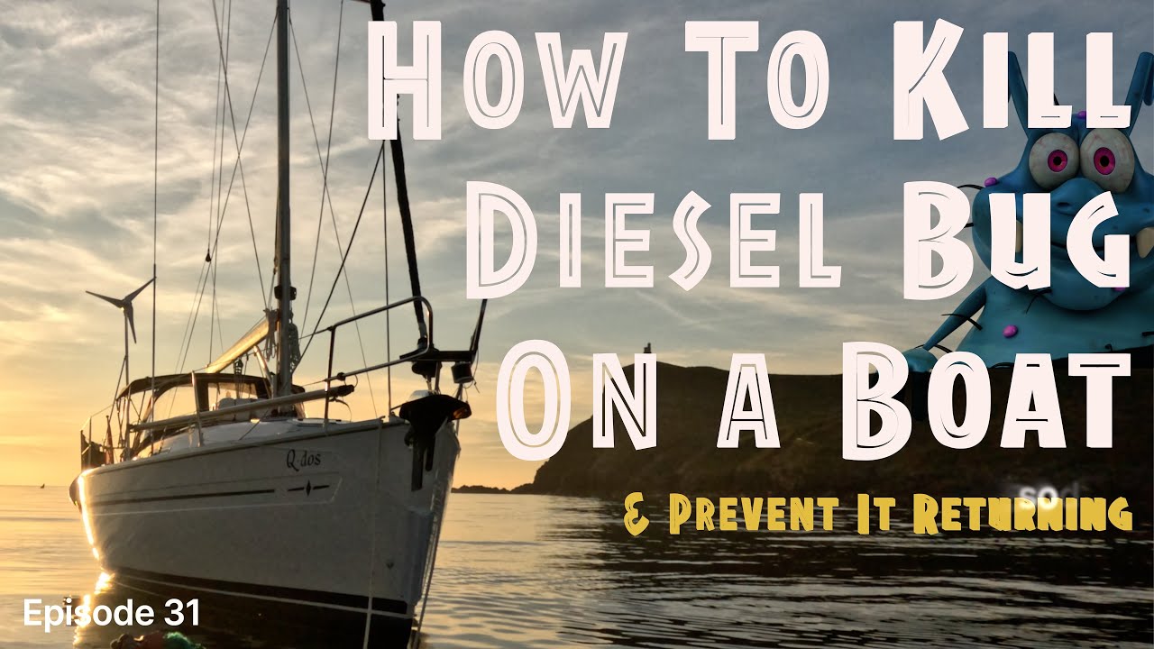 Полировка дизельного двигателя | Как избавиться от дизельных жуков и предотвратить их возвращение...