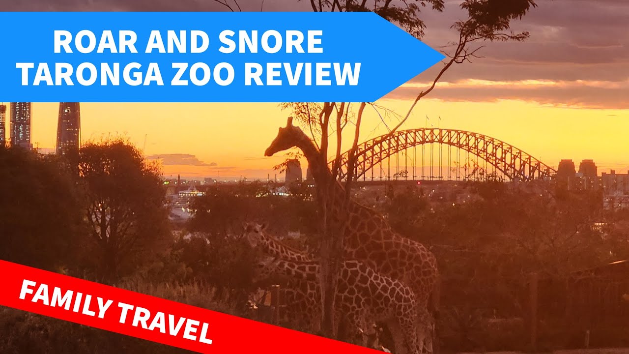 Roar and Snore Taronga Zoo Review