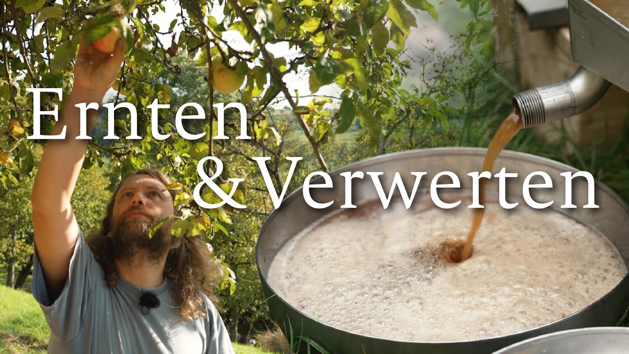 Ernte und Verwertung: Mach das Beste aus deinem Obst.