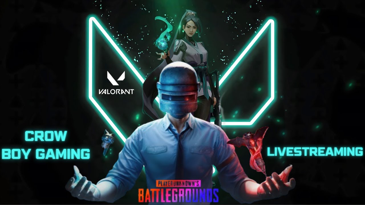 🔴 PUBG + Valorant LIVE  CROW BOY GAMING