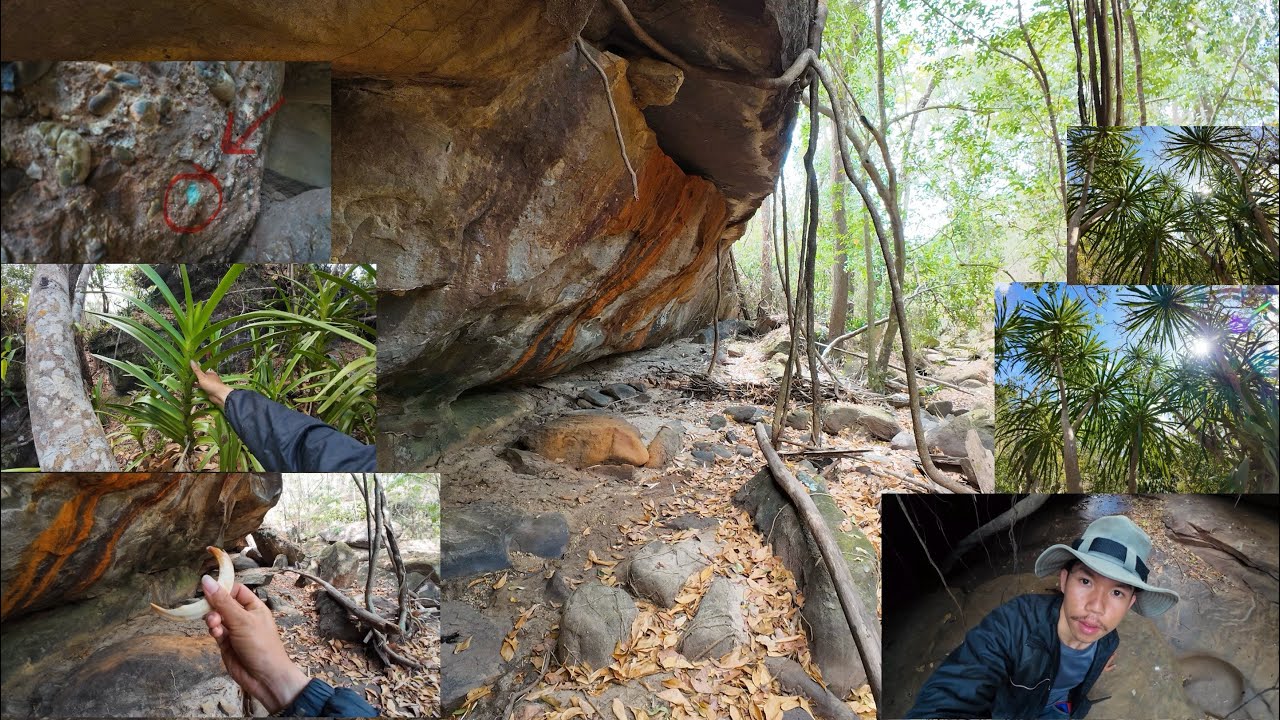 ຂື່ນປ່າຫາແກ່ນຈັນແດງພົບແຂ້ວສັດ-ขึ้นป่าล่าจันผาพบเขี้ยวสัตว์ Lar Thar