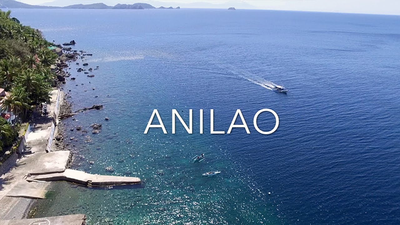 SCUBA DIVING IN ANILAO BATANGAS | TRAVEL VLOG