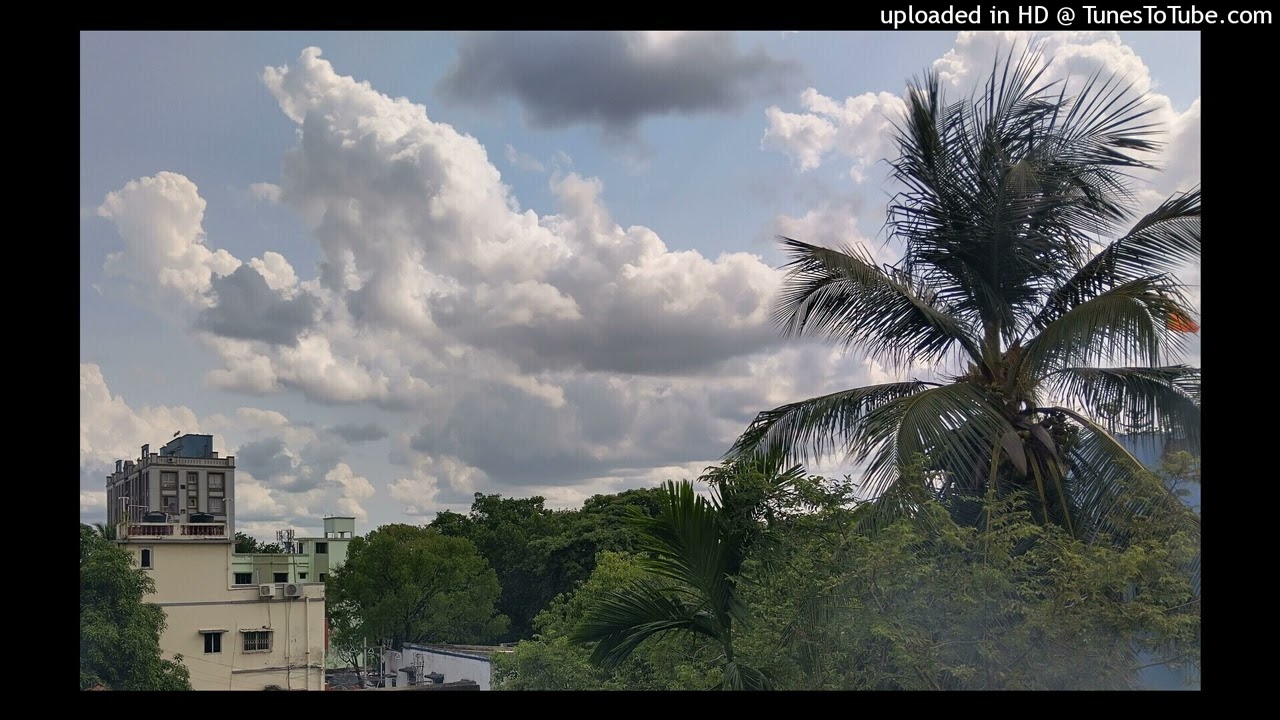মন যে বলে চিনি চিনি