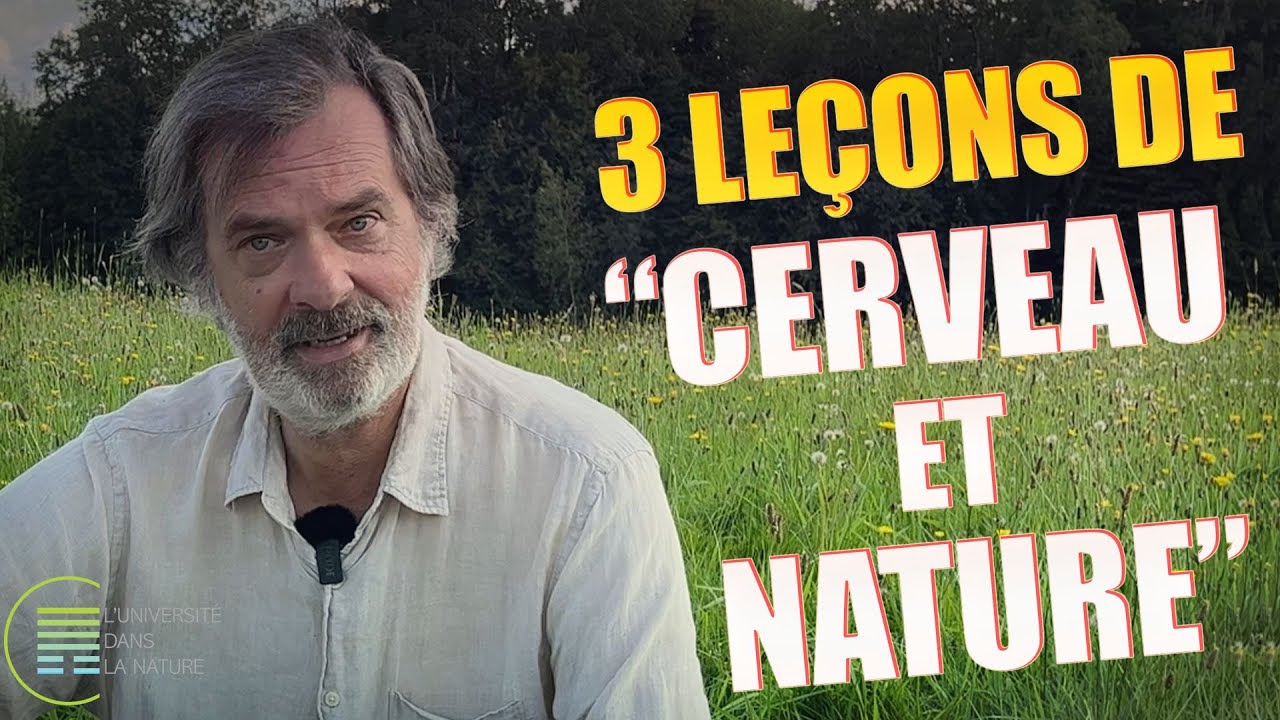 3 choses que j'ai apprises en lisant 