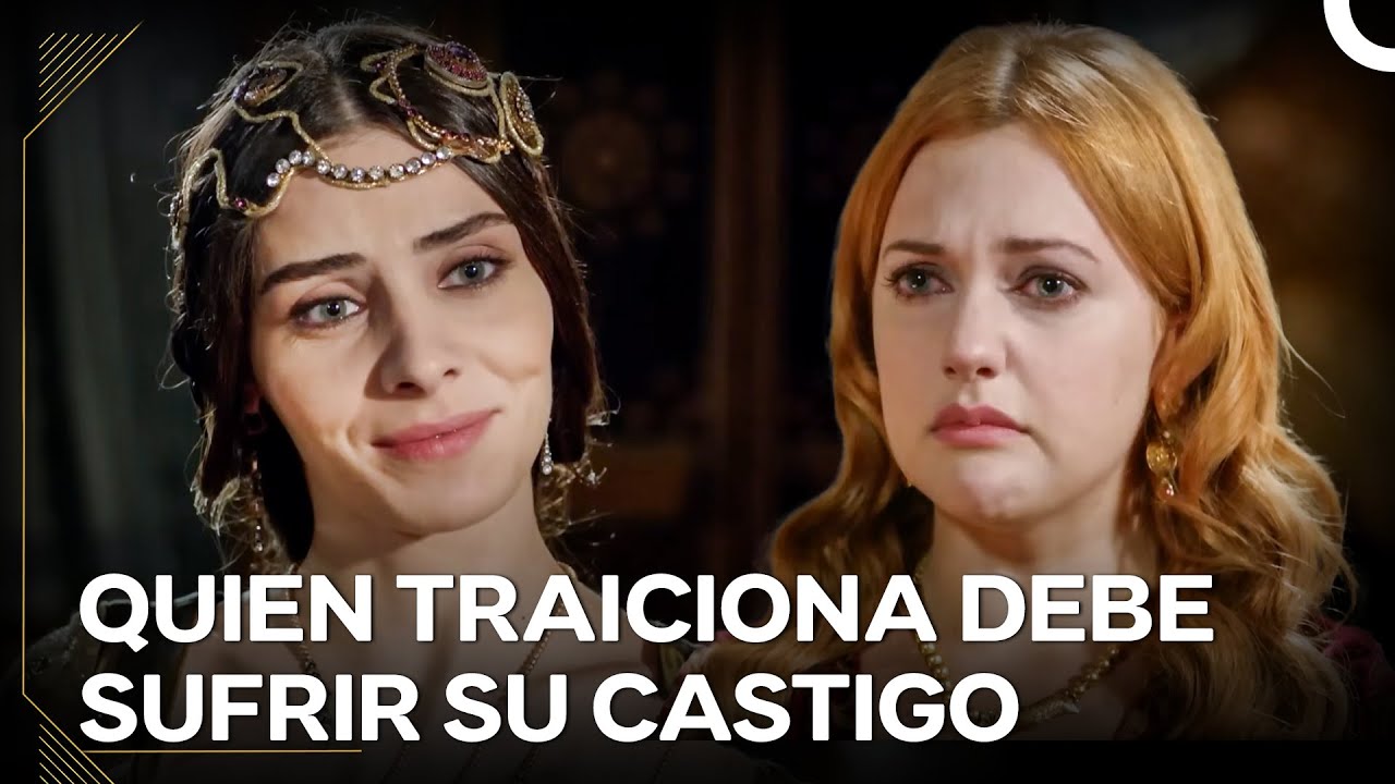 Este Es El Banquete De Los Leones, No De Los Gatos