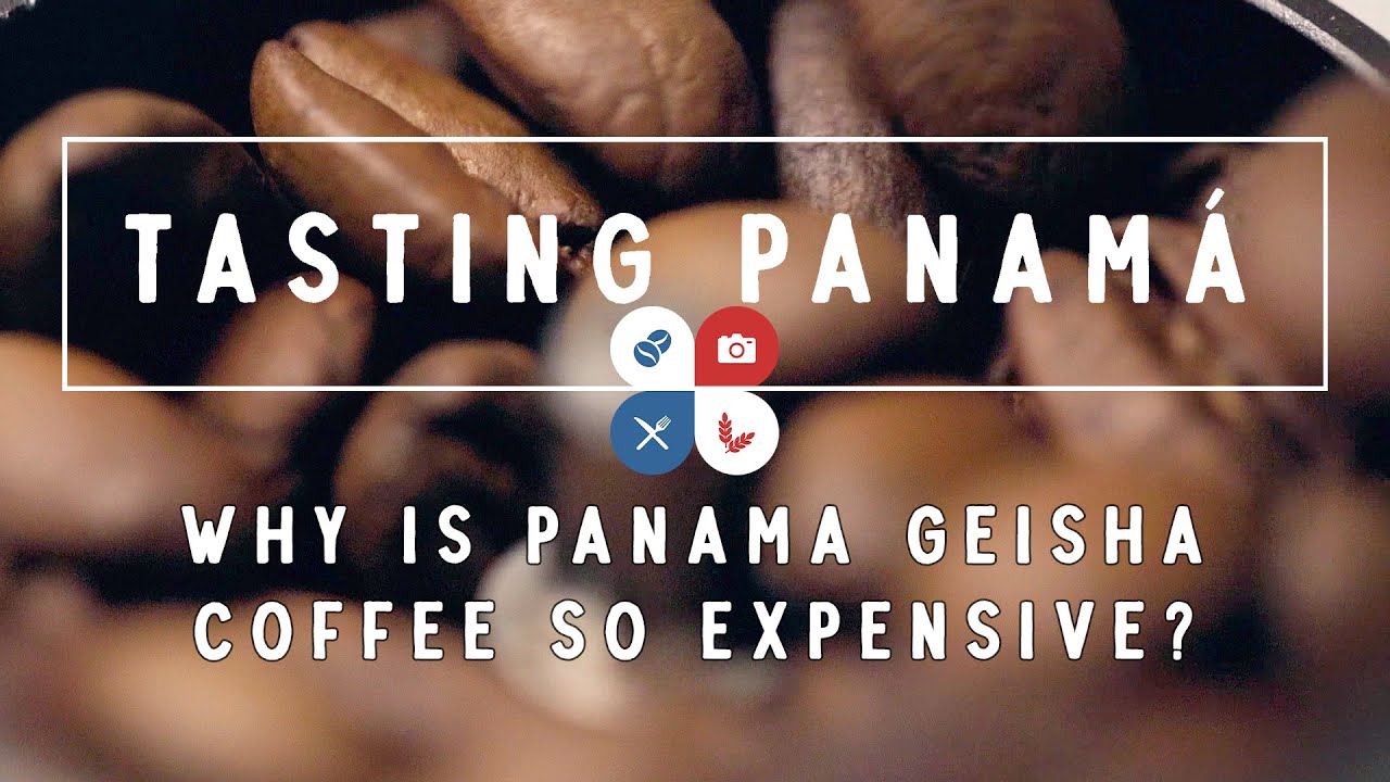 Why is Panama Geisha Coffee Smashing Records at Auction?
